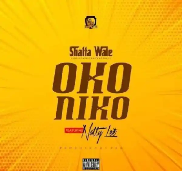 Shatta Wale - Oko Niko (Feat. Natty Lee)